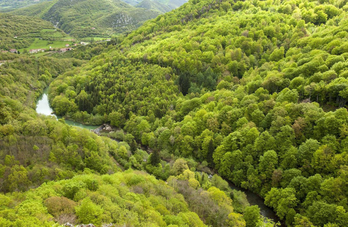 Landscape with river in the Irati Jungle